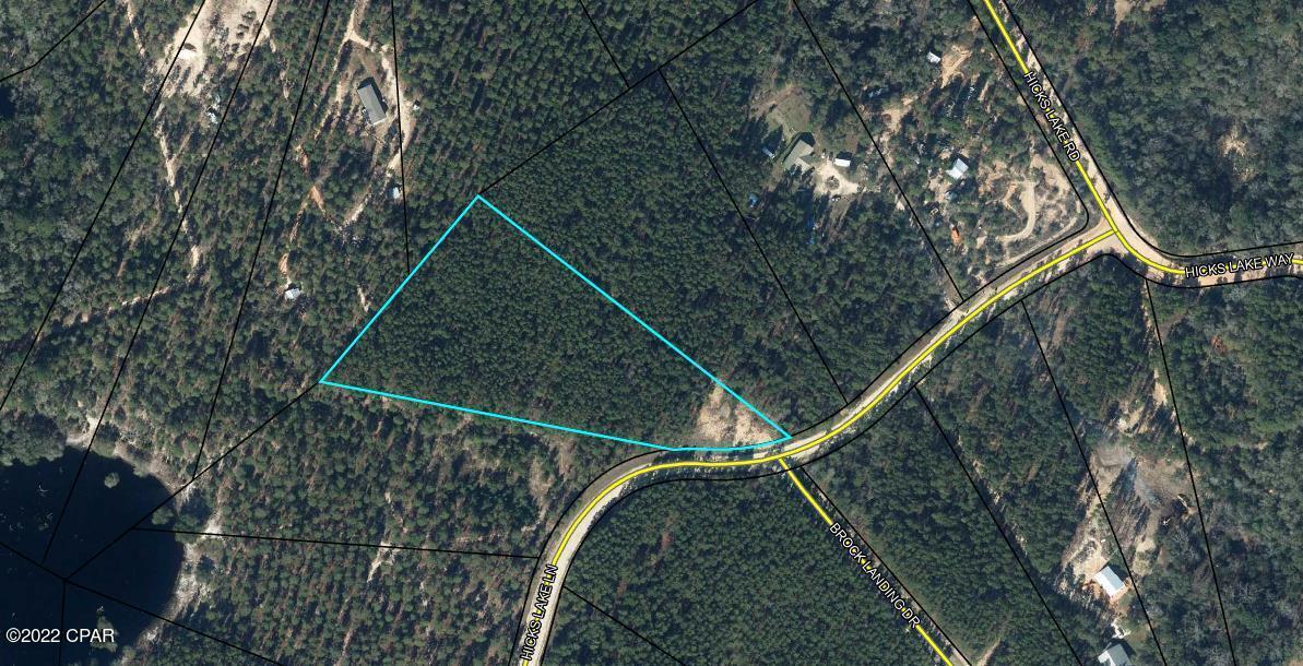Hicks Lake - Land