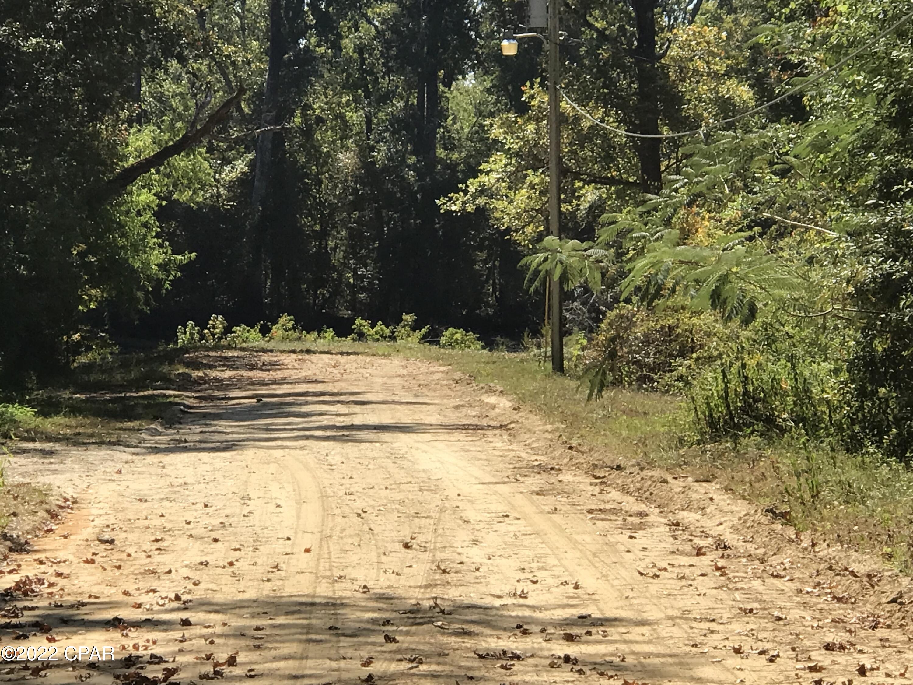 Red Bull Island - Land