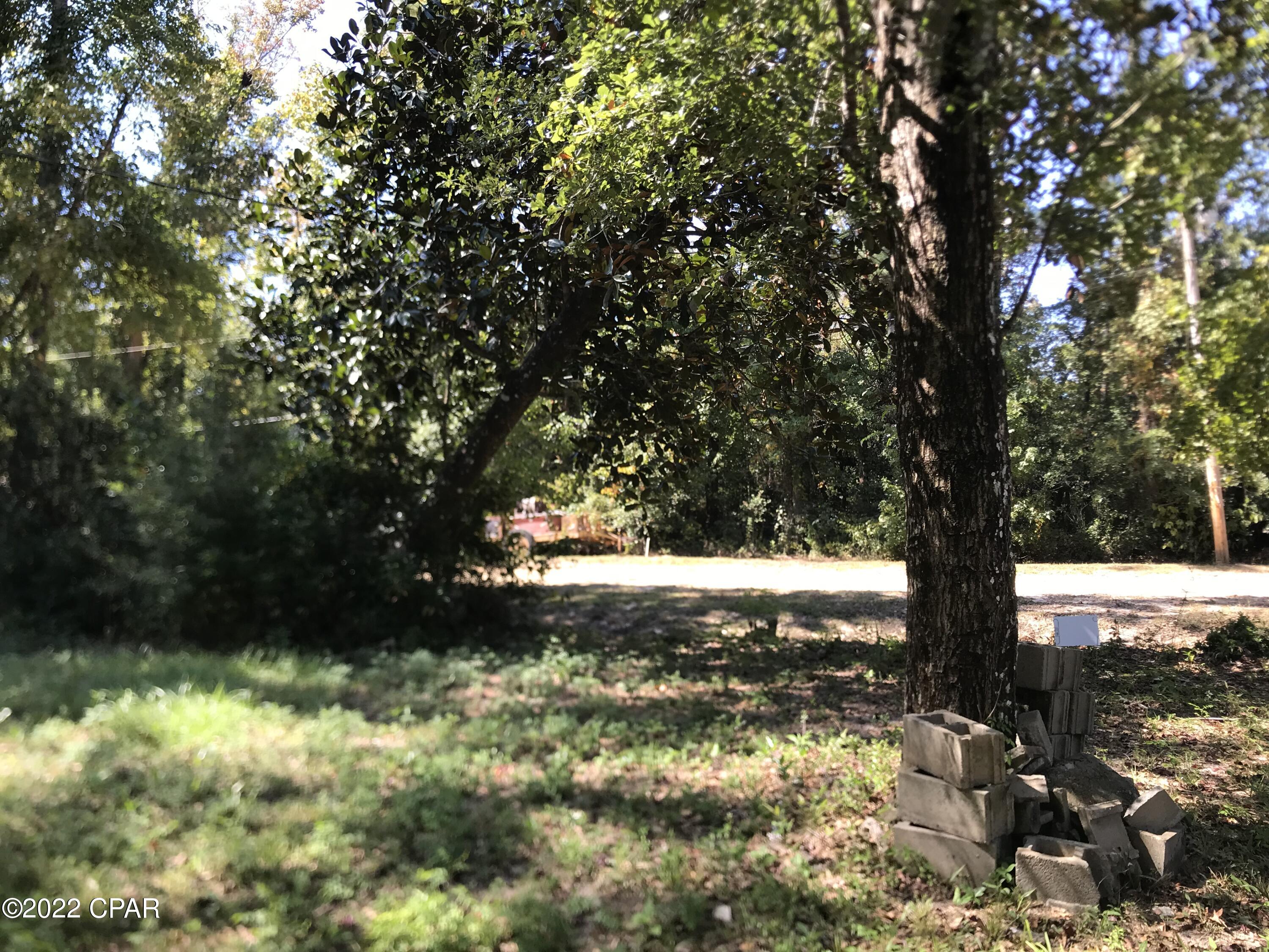 Red Bull Island - Land