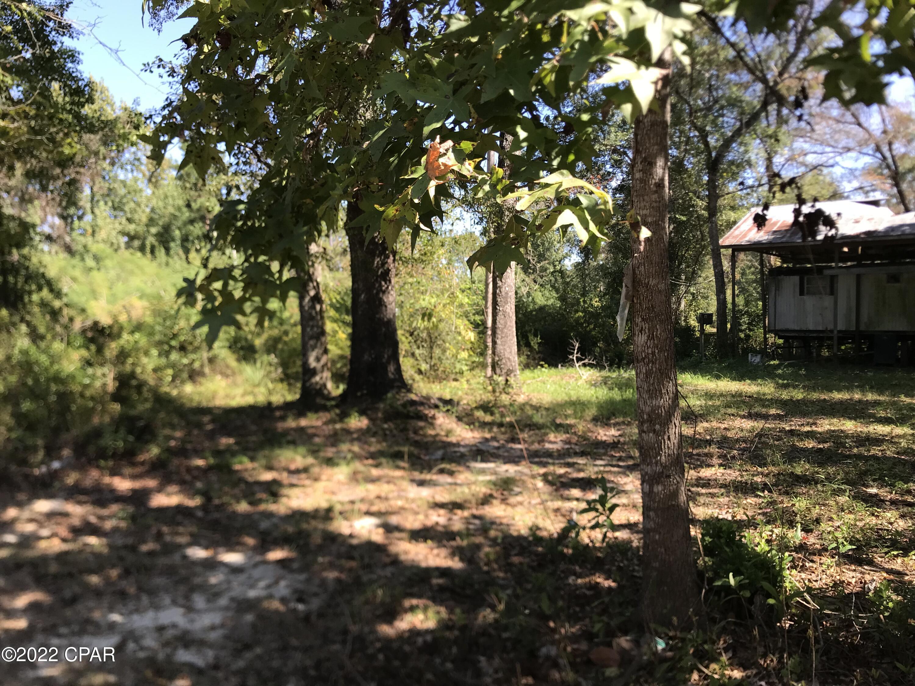 Red Bull Island - Land