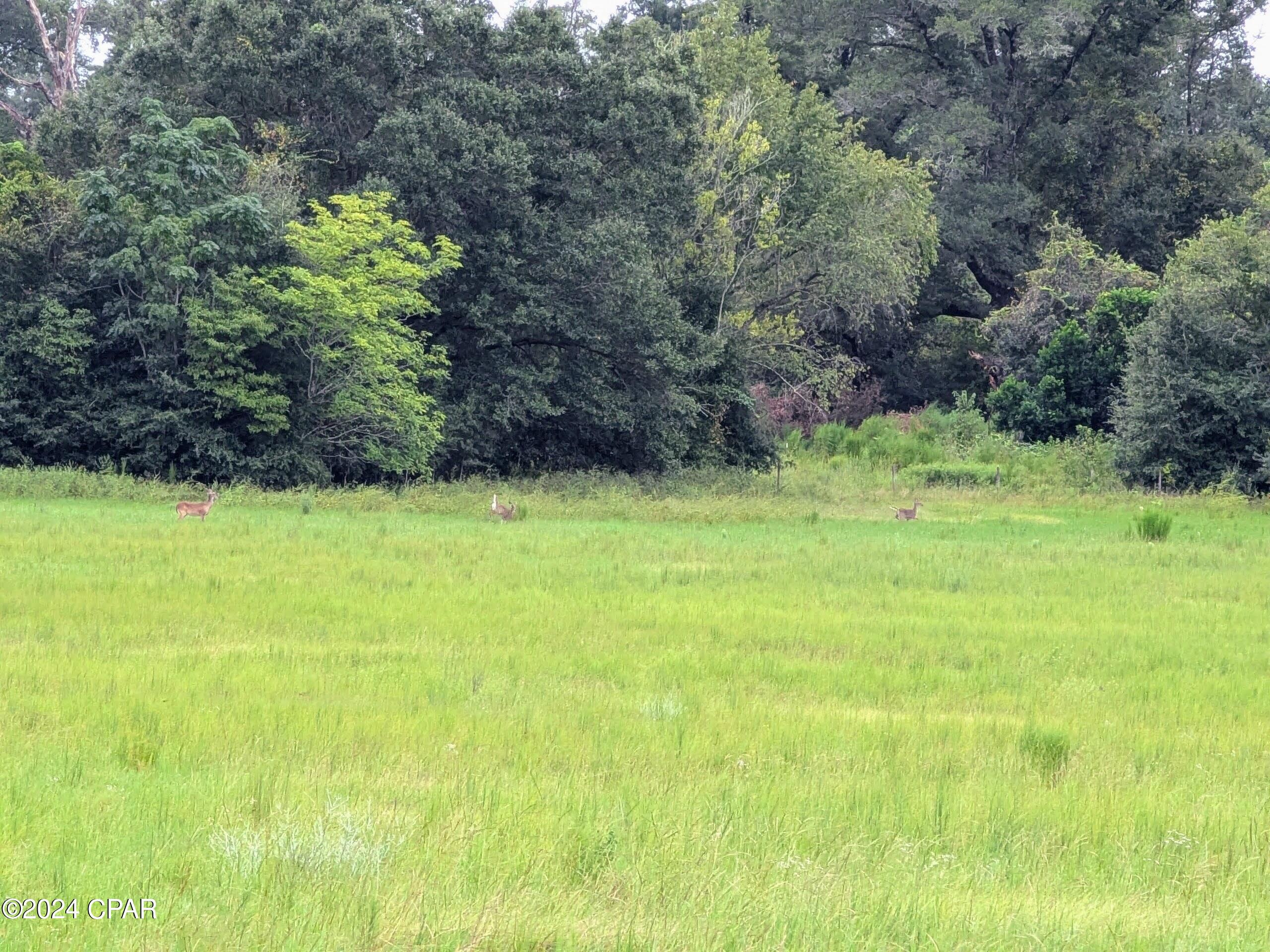 Greenbriar Estates 1 - Land