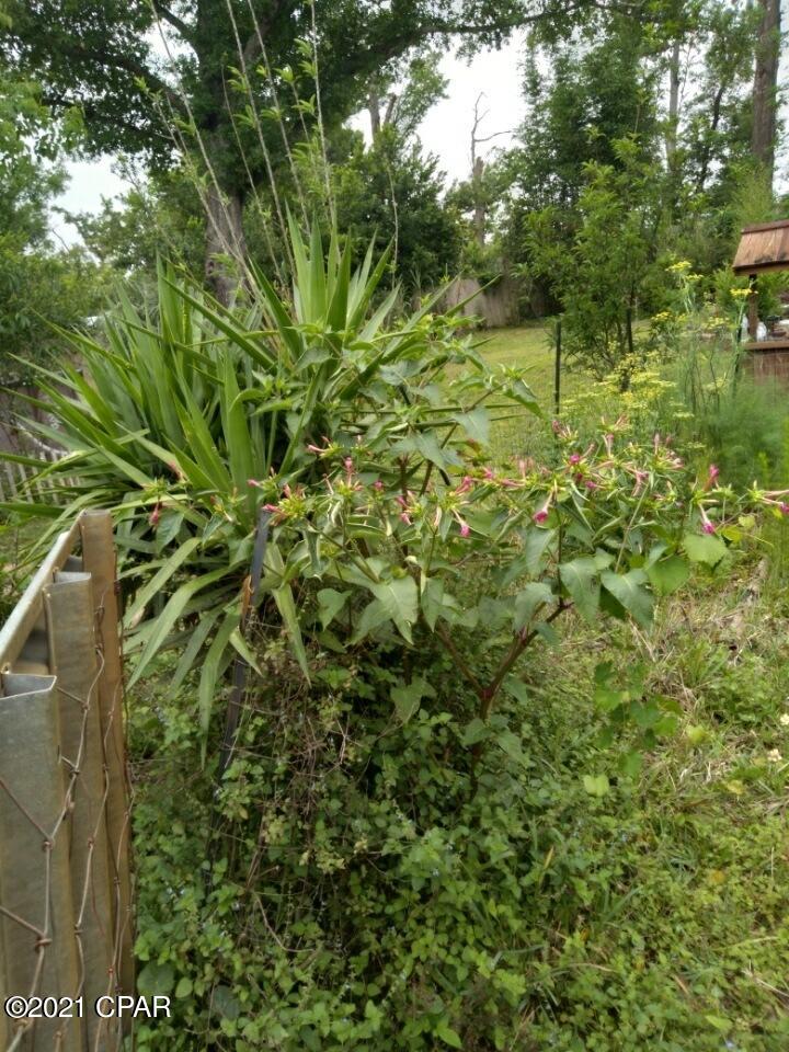 Hardy's Haven - Residential