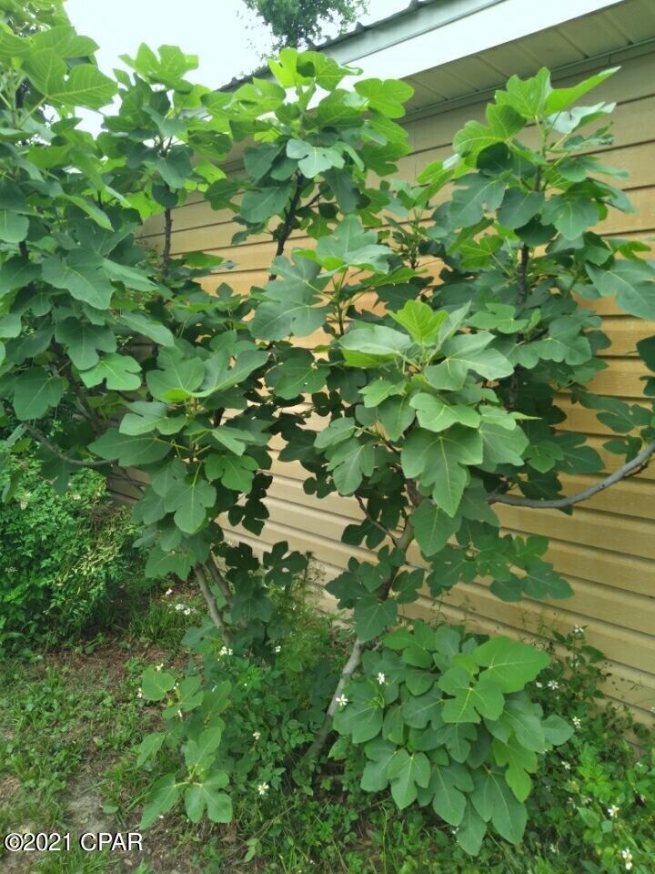 Hardy's Haven - Residential