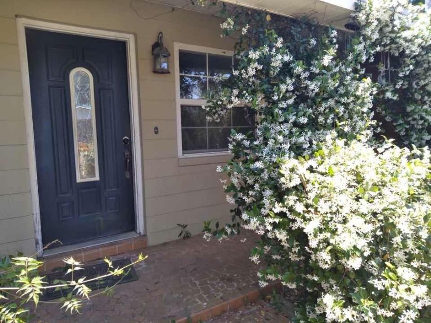 Come smell the Jasmine or the Roses!! This 3 bedroom 2 bath home features beautiful fragrant flowers, 10+ fruit bearing trees and/or shrubs including banana trees, 12X24 bonus room that can be used as a master bedroom or guest suite with a private entrance, textured walls throughout, built-in book shelving in the reading room with a wood burning fireplace, Huge European style kitchen with all new dove grey shaker style cabinetry, butcher block counter tops, reverse osmosis system, stainless steel appliances, french doors leading to the back deck with a brick grilling area next to your very own above ground pool, 260' well with filtration system, and sooo much more!!!