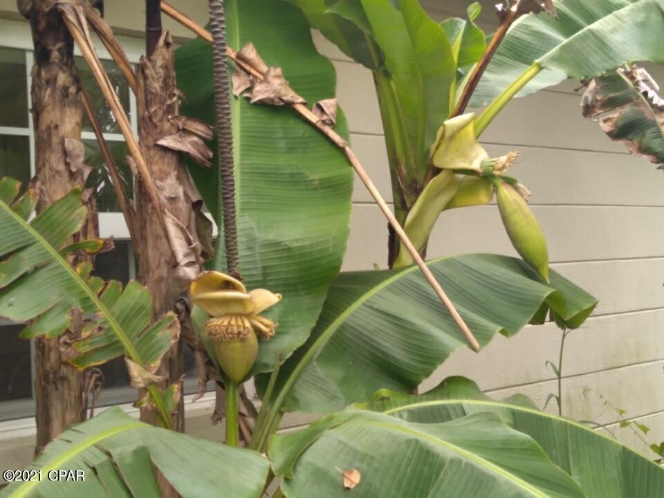 Hardy's Haven - Residential