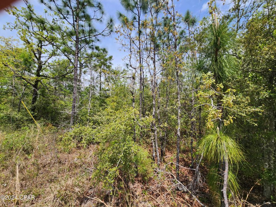 Land locked 10 acre parcel in NW Calhoun County.  This parcel has some nice pines and small oaks in a remote area.  None of the land is in a flood zone.
