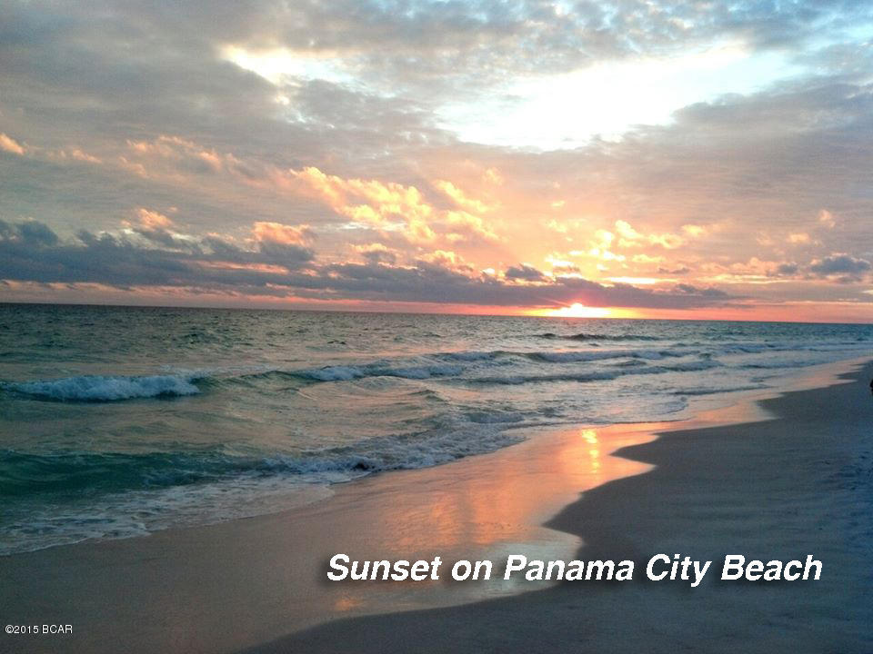 Palmetto Trace Phase III - Residential