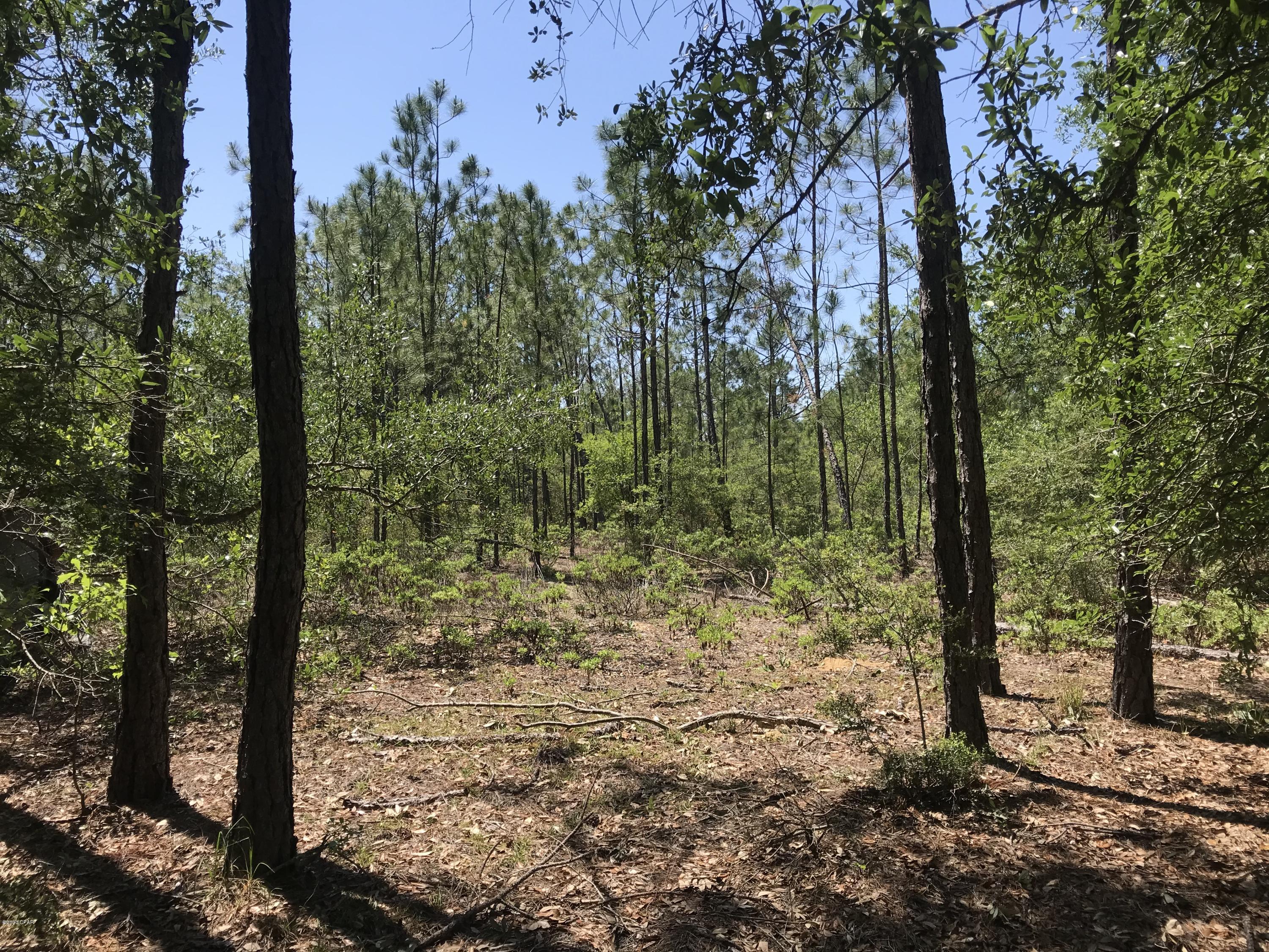 Country Road Acres - Residential