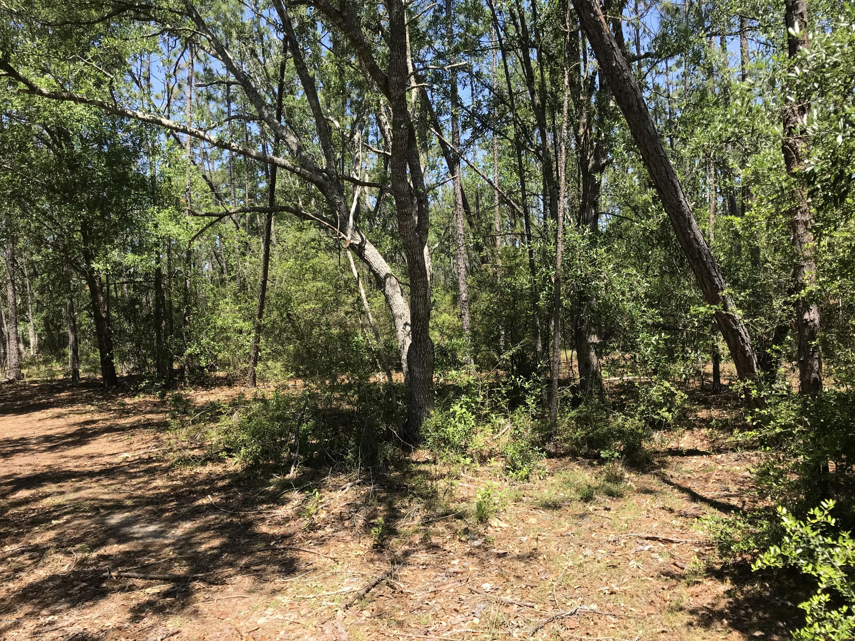 Country Road Acres - Residential