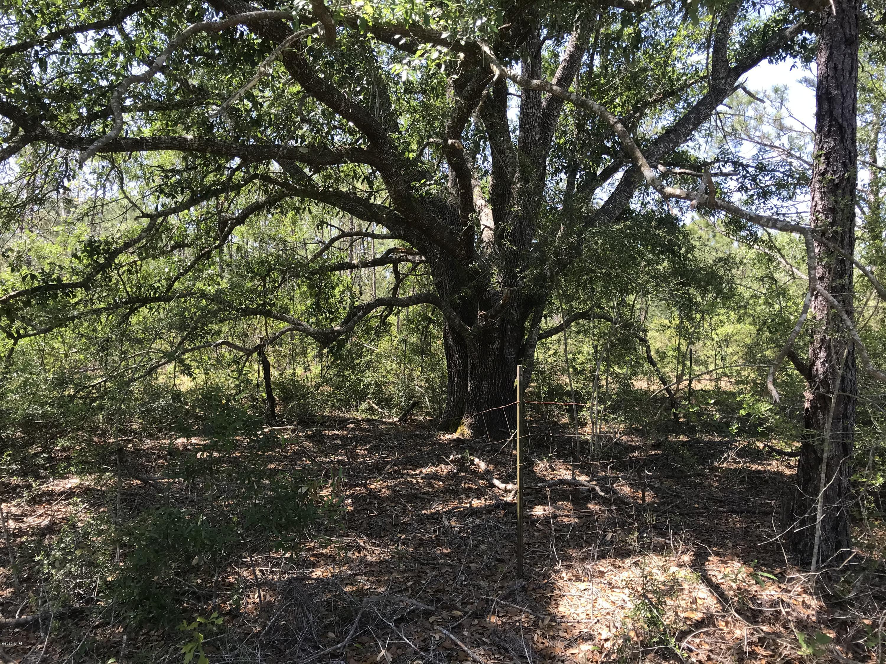 Country Road Acres - Residential