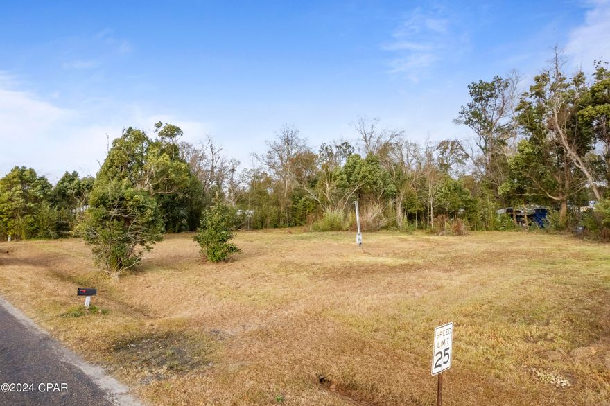 Are you looking for a large lot to build your dream home or spot to create a fish camp? Look no further this is two lots being sold together (Lot A - 129 Old Dairy Farm Road) (Lot B - 139 Old Dairy Farm Road) in the fishing town of Wewahitchka, FL. City Water hookup, Electric Pole in place, Septic Tank in place. Within 2 miles to Lands Landing boat launch and within 4 miles to Dead Lakes boat launch.