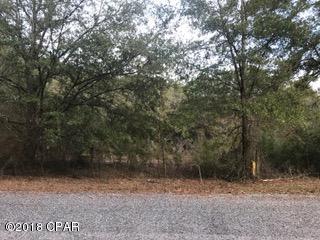 Spring Hill Estates - Land