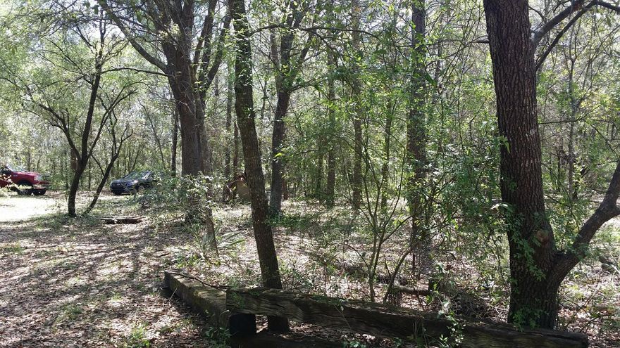 All sizes taken from tax records/////Beautiful property--5 Acres--330x660--on Paved road--property sold ''AS IS''----with well and septic tank---(small wood shed/workshop situated on property-could be used as ''Cabin'')  Underground utilities--super nice/quite secluded---homes site. Property is being sold as vacant land only!