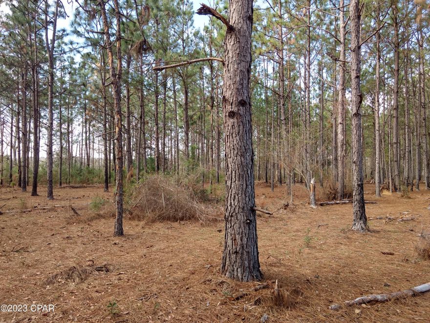 Beautiful hilltop view from this property. Would make a great homesite or hunting property. Located north of Bonifay, close to HWY 2. There is about 10 acres of planted pines.