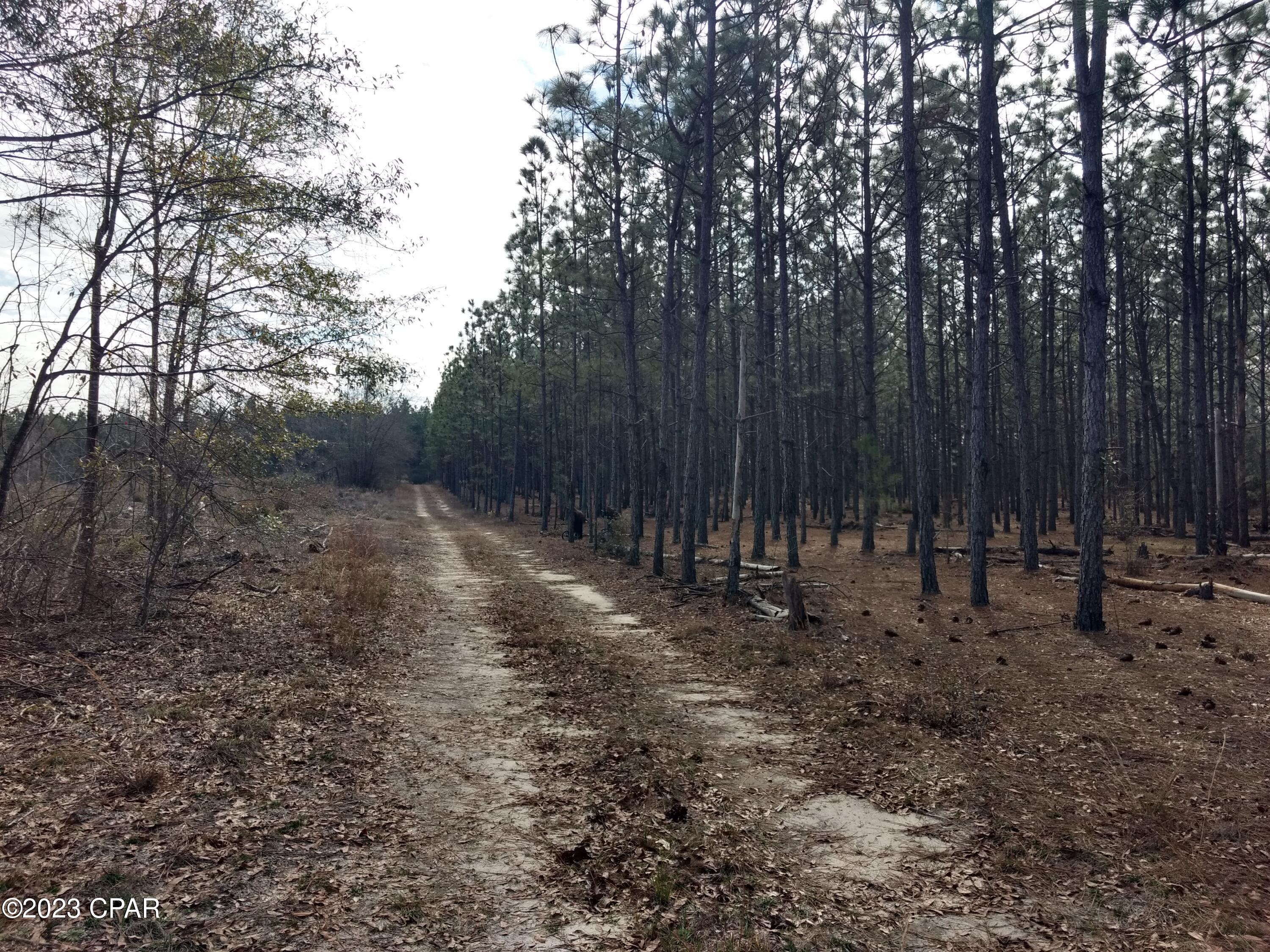 [No Recorded Subdiv] - Land