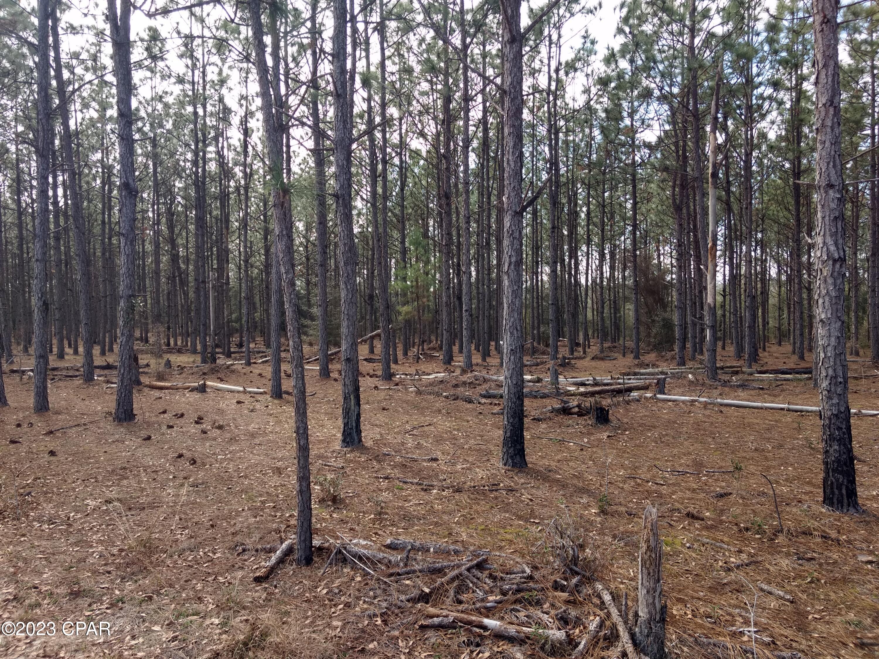 [No Recorded Subdiv] - Land