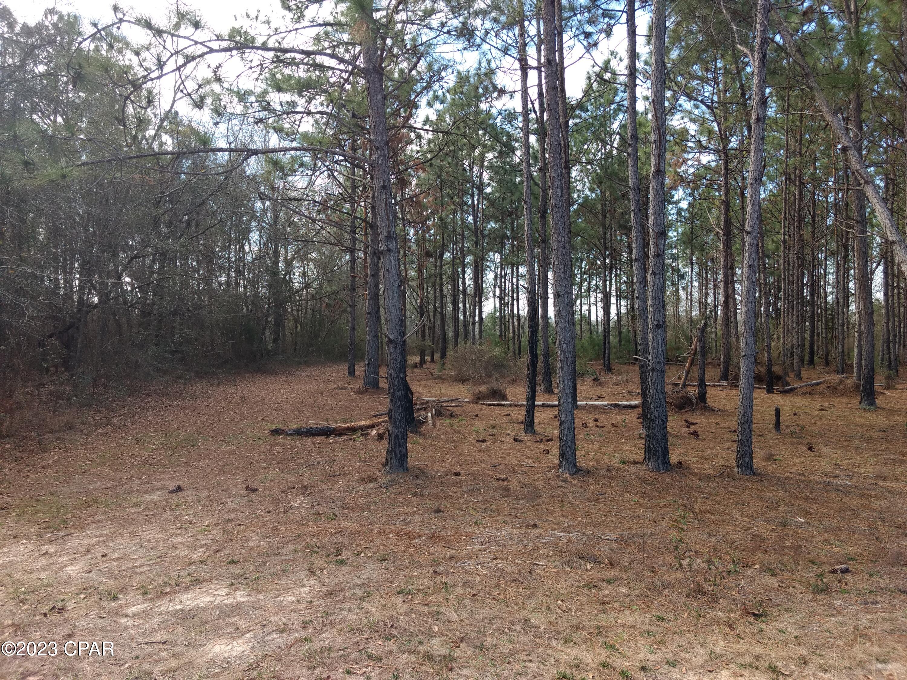 [No Recorded Subdiv] - Land