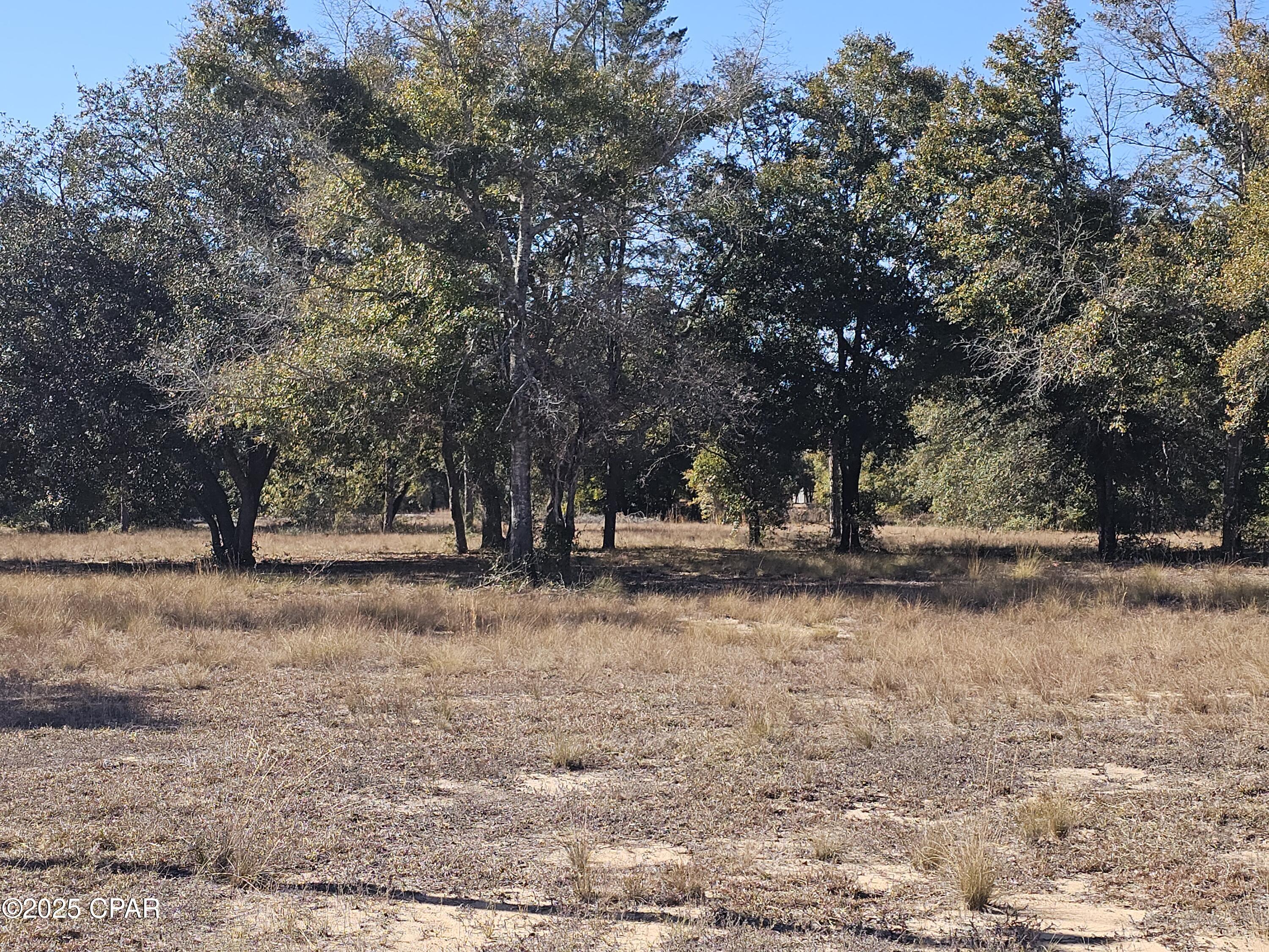 Sunny Hills - Commercial Sale