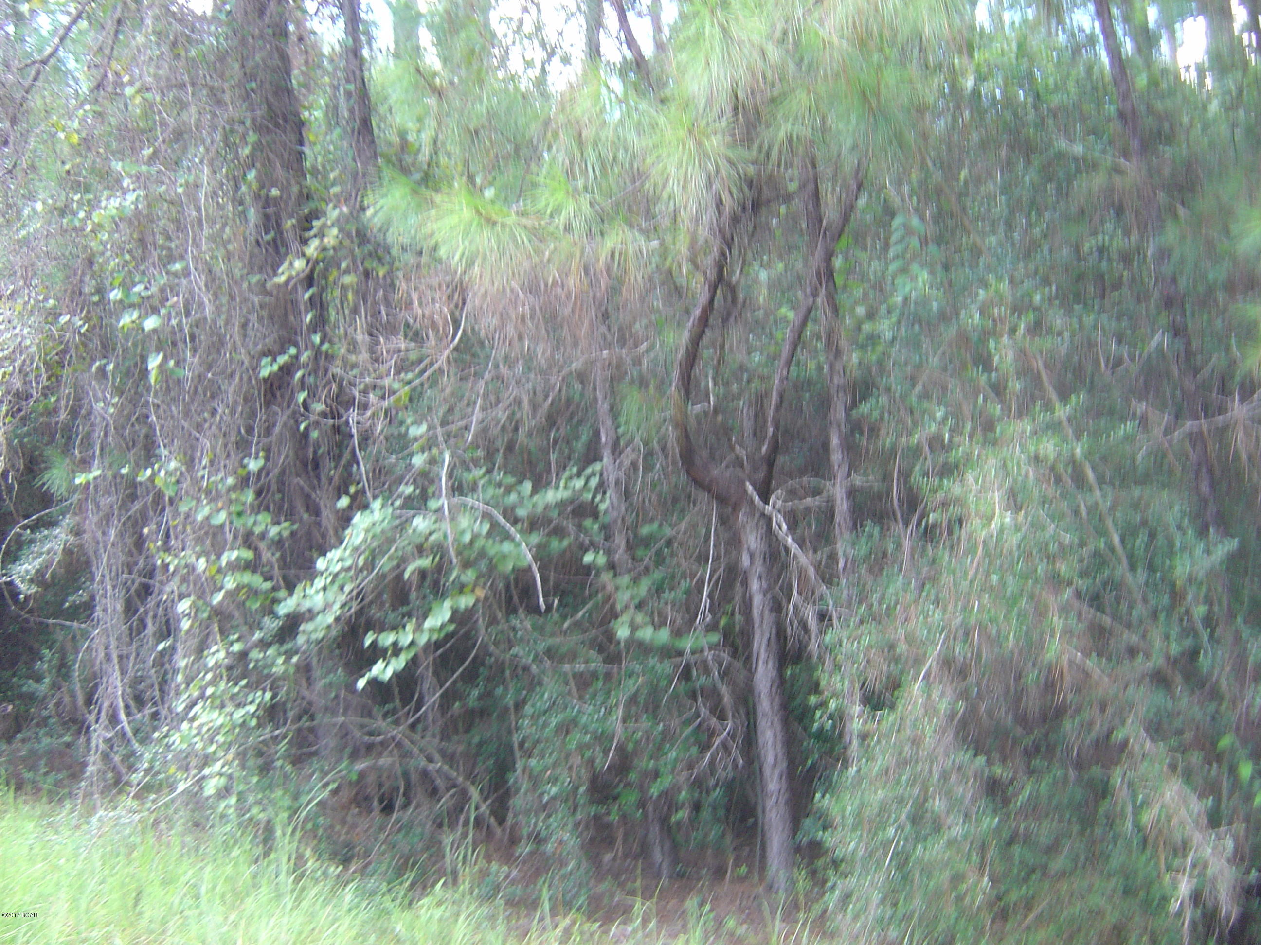 Compass Lake Hills Unit 5 - Land