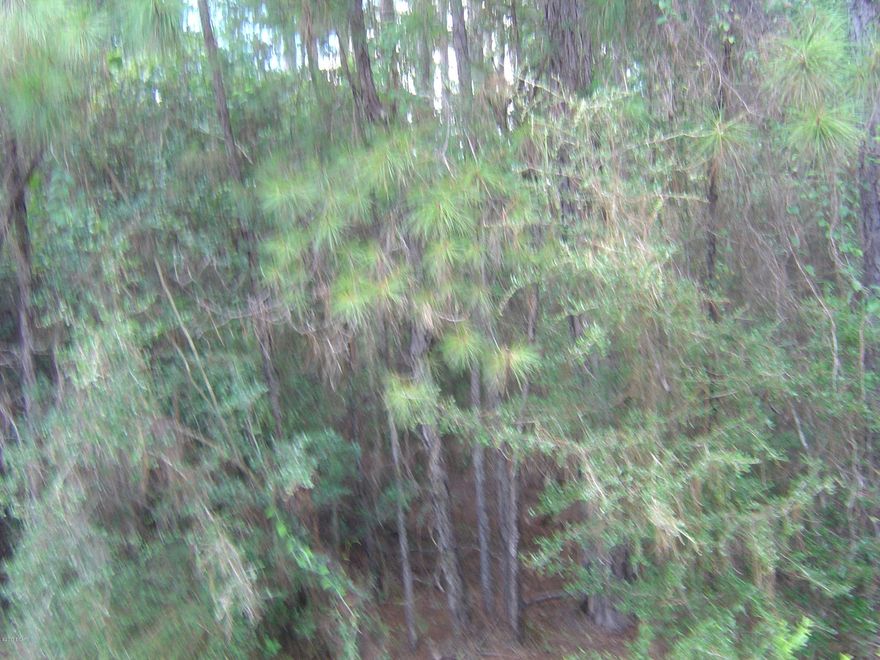 Level lot in Compass Lake in the Hills with all the amenities of CLH.  Lot is close to the lodge area.