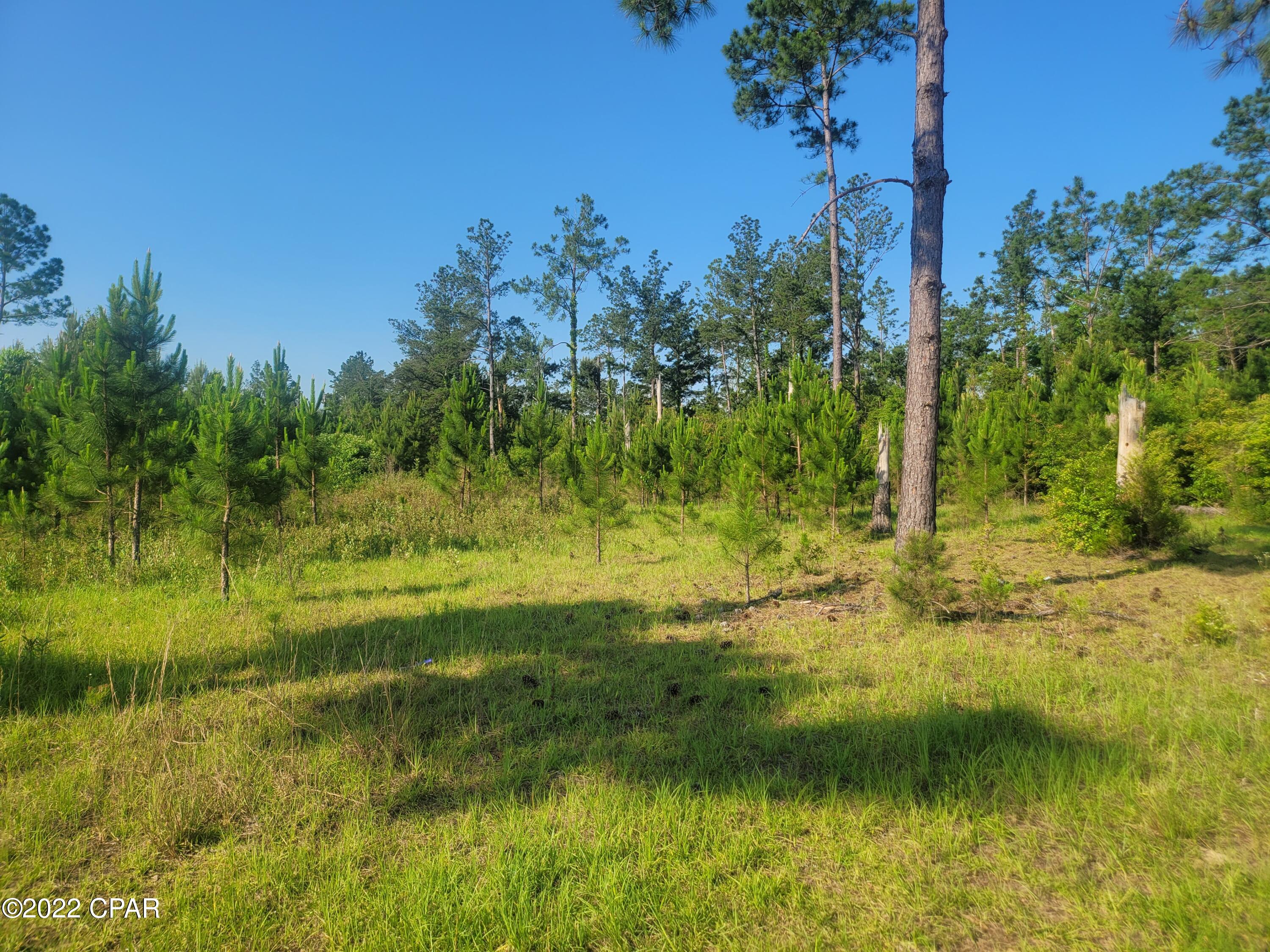 No Named Subdivision - Land