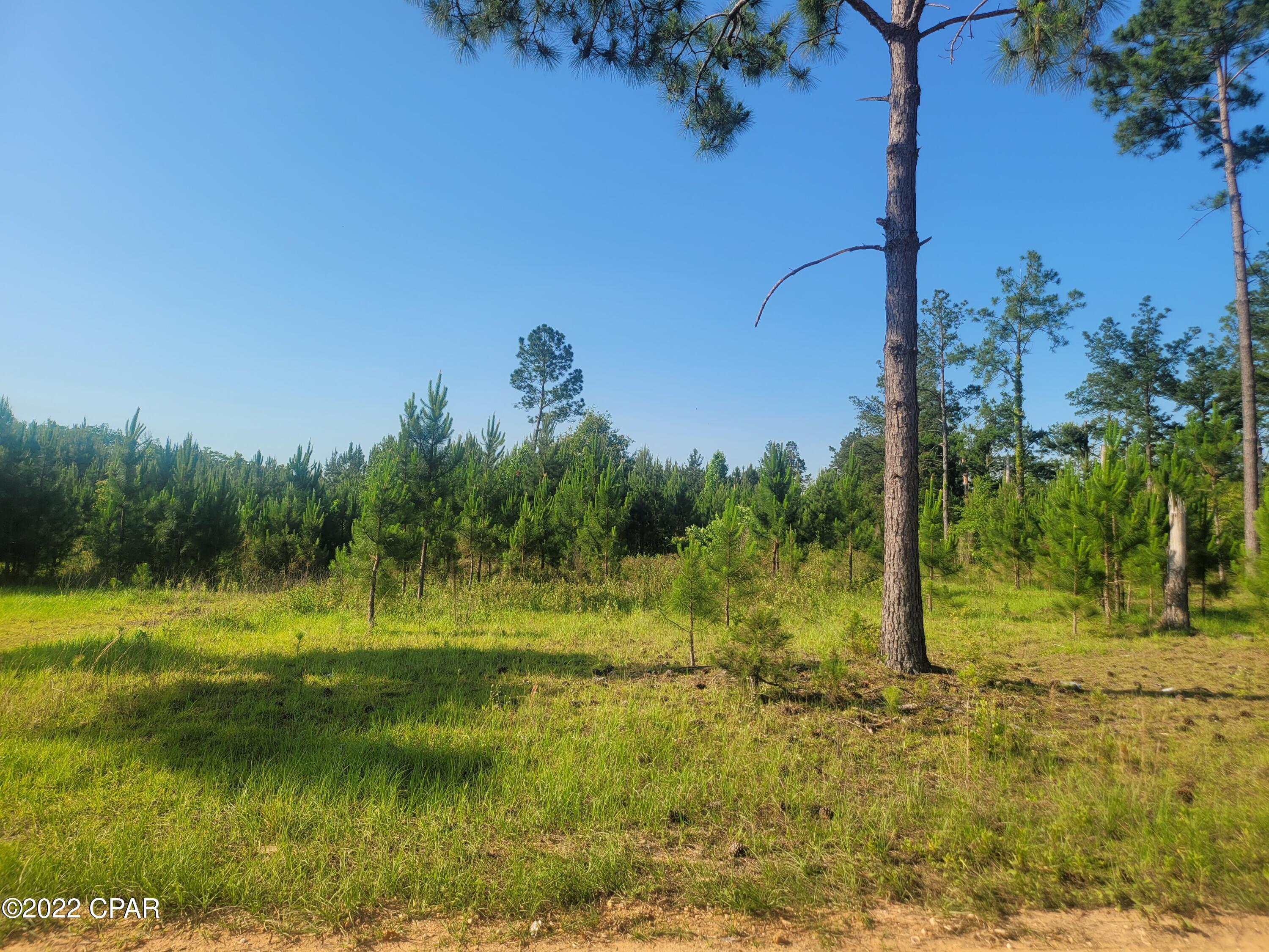 No Named Subdivision - Land