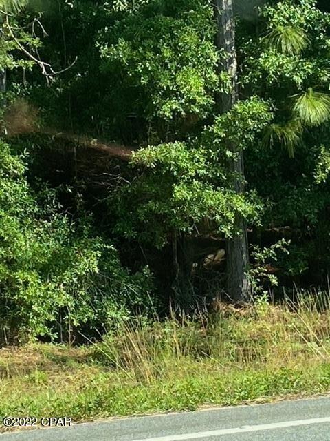 Ponce De Leon - Land