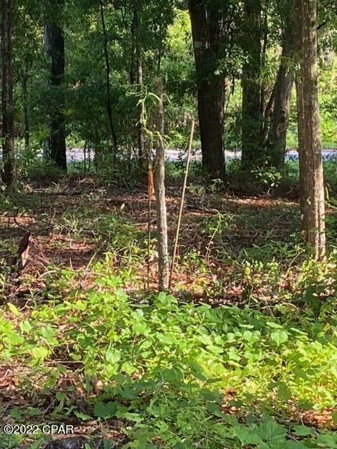 Ponce De Leon - Land