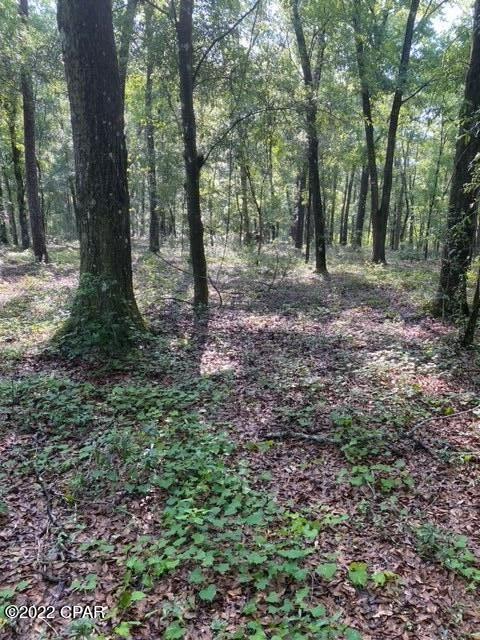 Ponce De Leon - Land