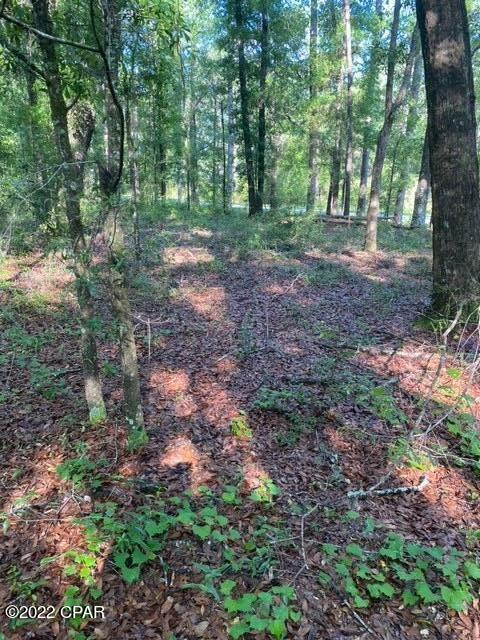 Ponce De Leon - Land