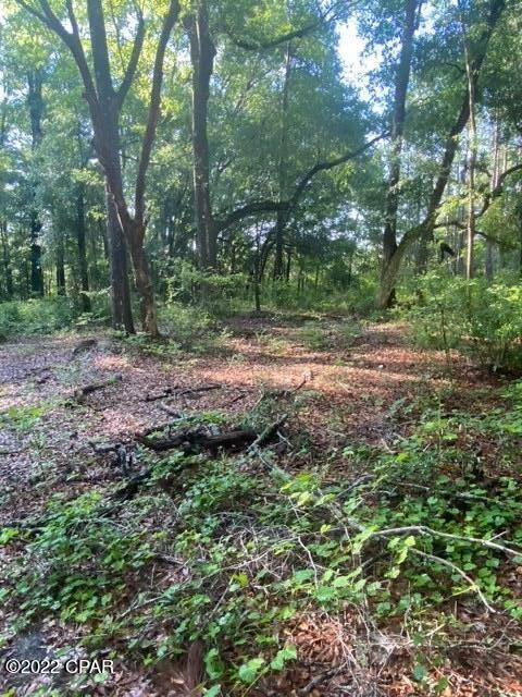 Ponce De Leon - Land