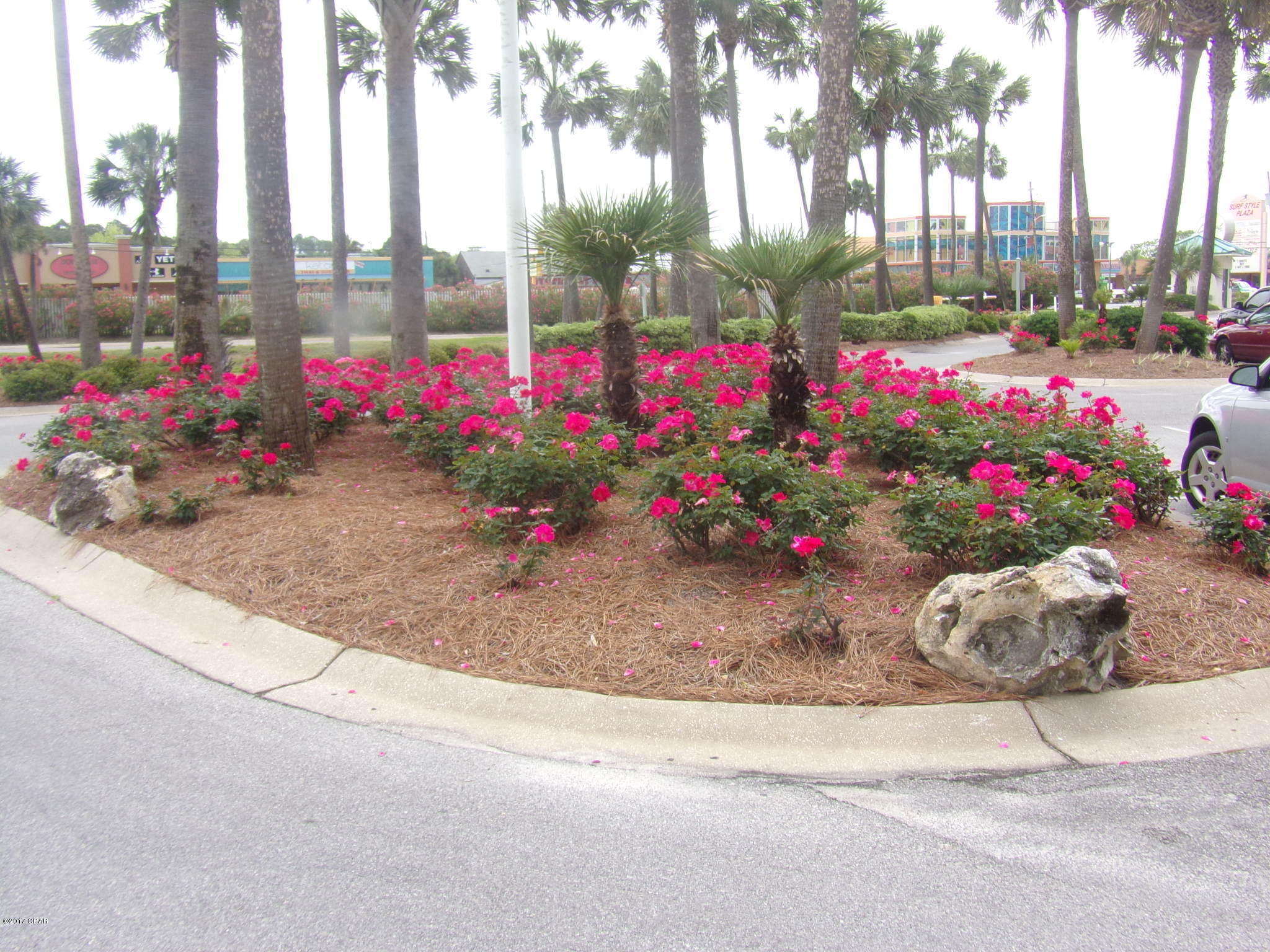 Long Beach Towers IV - Residential