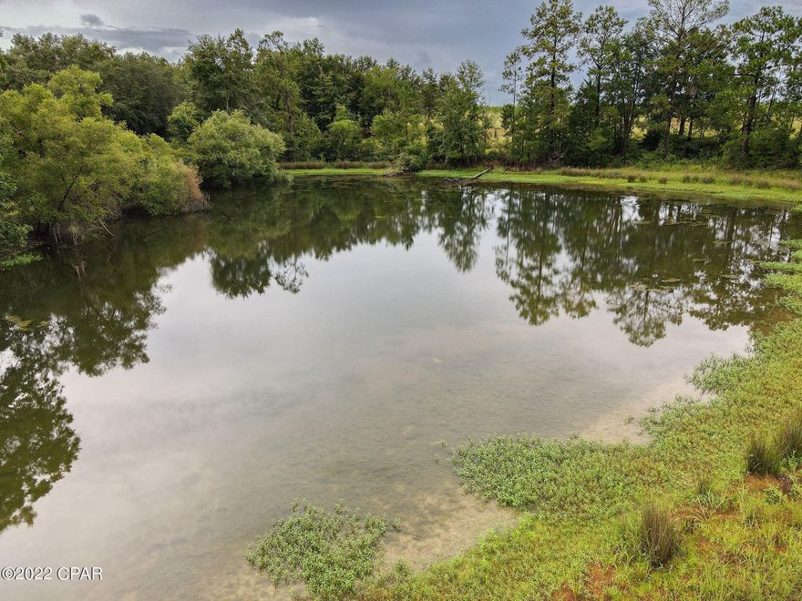 This beautiful parcel of land offers you and your family the chance to experience country living at its finest!  At 160 acres, the property has well-maintained county road access and offers everything you need for relaxed country living and ideal hunting. Throughout the property there are many beautiful additional home sites that would offer great views of Florida's natural landscapes and privacy from any neighboring land owners. The property consists of two separate parcels that are predominantly covered with planted pines and oaks - providing you with the potential to hunt game such as whitetail deer, quail, dove, and turkeys. Multiple deer stands are located throughout the tract that are easily accessible by means of well-maintained trails. A creek flows throughout the east side of the property, creating an incredible habitat for wildlife.  In addition, a nice pond supplies a constant water source for livestock or game.  Recreational activities, however, are not limited solely to this property. If you enjoy days out on the water fishing or just relaxing, multiple lakes and rivers are just a short drive away - all offering incredible fishing, skiing, tubing, and camping opportunities.  Surrounded by mature pecan trees, the original homestead still remains on the property and would be an ideal hunting lodge, vacation home, or primary residence. Moreover, it could be rented for potential income.  There is also a large 36' x 48' pole barn (14' eaves), perfect for storing equipment or recreational vehicles.  This rare piece of property has so much to offer including private country living, abundant hunting, and a short drive from all the perks of city amenities. The town of Graceville is minutes away, providing you with easy access to gas, groceries, banks, and public schools. Additional acreage is available for purchase, if you are interested in expanding. Call us today for a private showing! (parcel ID #	0207.00-000-000-006.000)

Additional Information:

*1,500 square foot wood frame home (3 bedrooms/1 bath)
*Small and large game hunting
*10 acres of pecan trees
*60' x 30' pole barn
*Multiple deer stands
*Perimeter fencing
*Stocked pond
*Creek
*Well-developed trail infrastructure
*Well-maintained county road access
*5 miles to Graceville, FL
*37 miles to Blue Springs Recreational Area
*15 miles to Blue Lake
*62 miles to Panama City Beaches
*55 miles to Northwest Florida Beaches International Airport
*22 miles to Dothan, AL