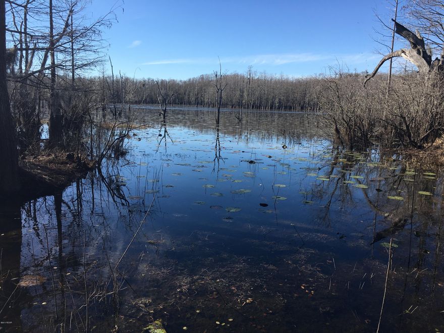 Hunters and Fishermen!! This is the prime getaway. The south side is overflow for Ocheesee Pond. The north side is dry with a one bedroom, one bath (21x19) efficiency apt and a 65x45 pole barn. Both built in 2000. It has well, septic and power. Ocheesee Pond is a 2200 acre lake that is know for great fishing.