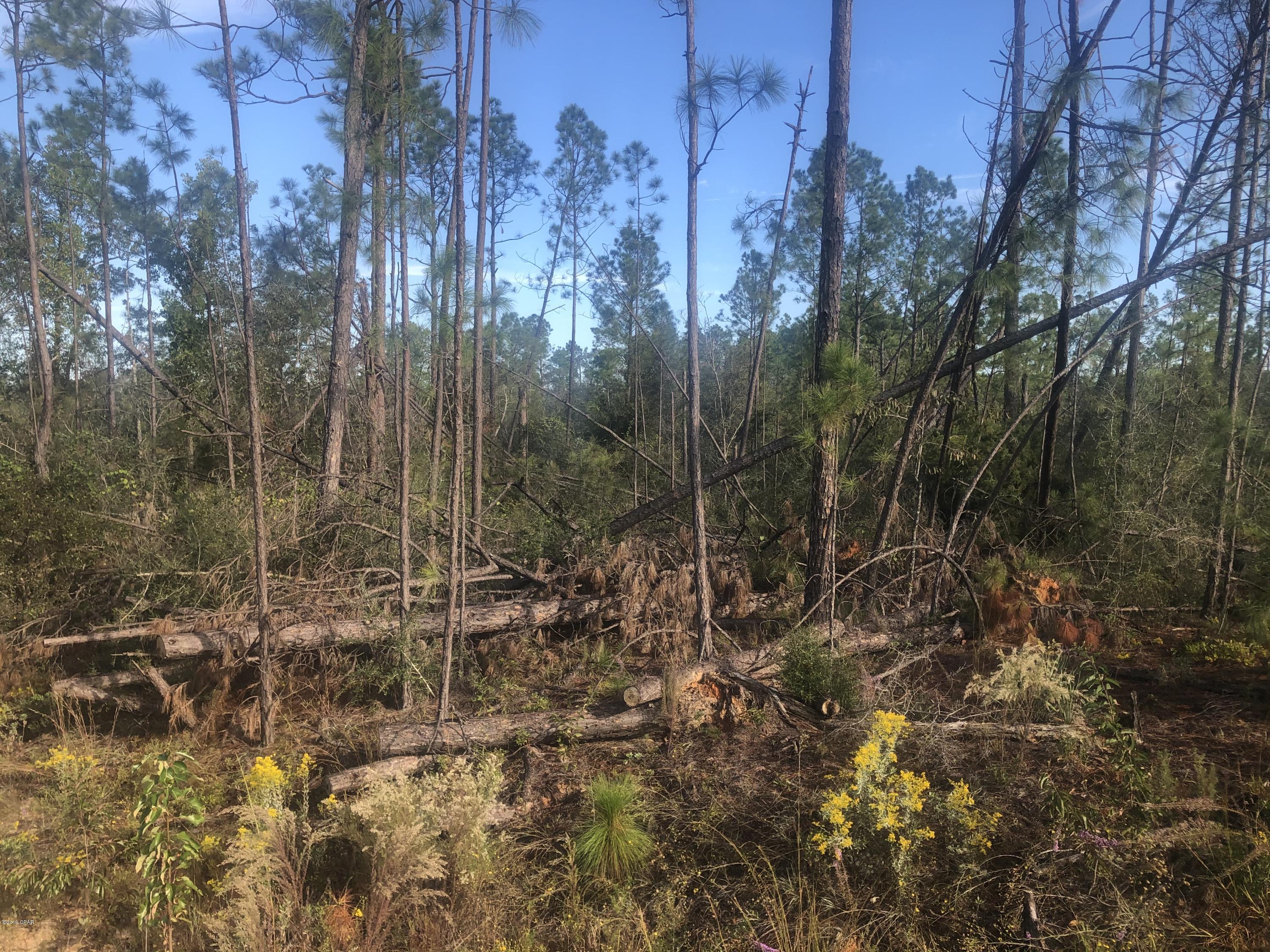 Compass Lake Hills Unit 1 - Land