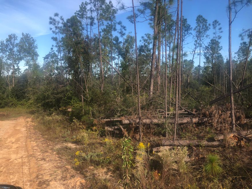 1.67 (mol) acres high and dry building lot in Compass Lake in the Hills Subd.  Some down trees from Hurricane Michael.  Get a good lot for less. Enjoy the amenities of ownership from the Compass Lake in the Hills Association like Swimming pool, boat ramp on Compass Lake, Cottage rentals, Restaurant and more. Withing 40 minute drive to Panama City Mall and shopping. Measurements are taken from Jackson County Property Appr. site.
