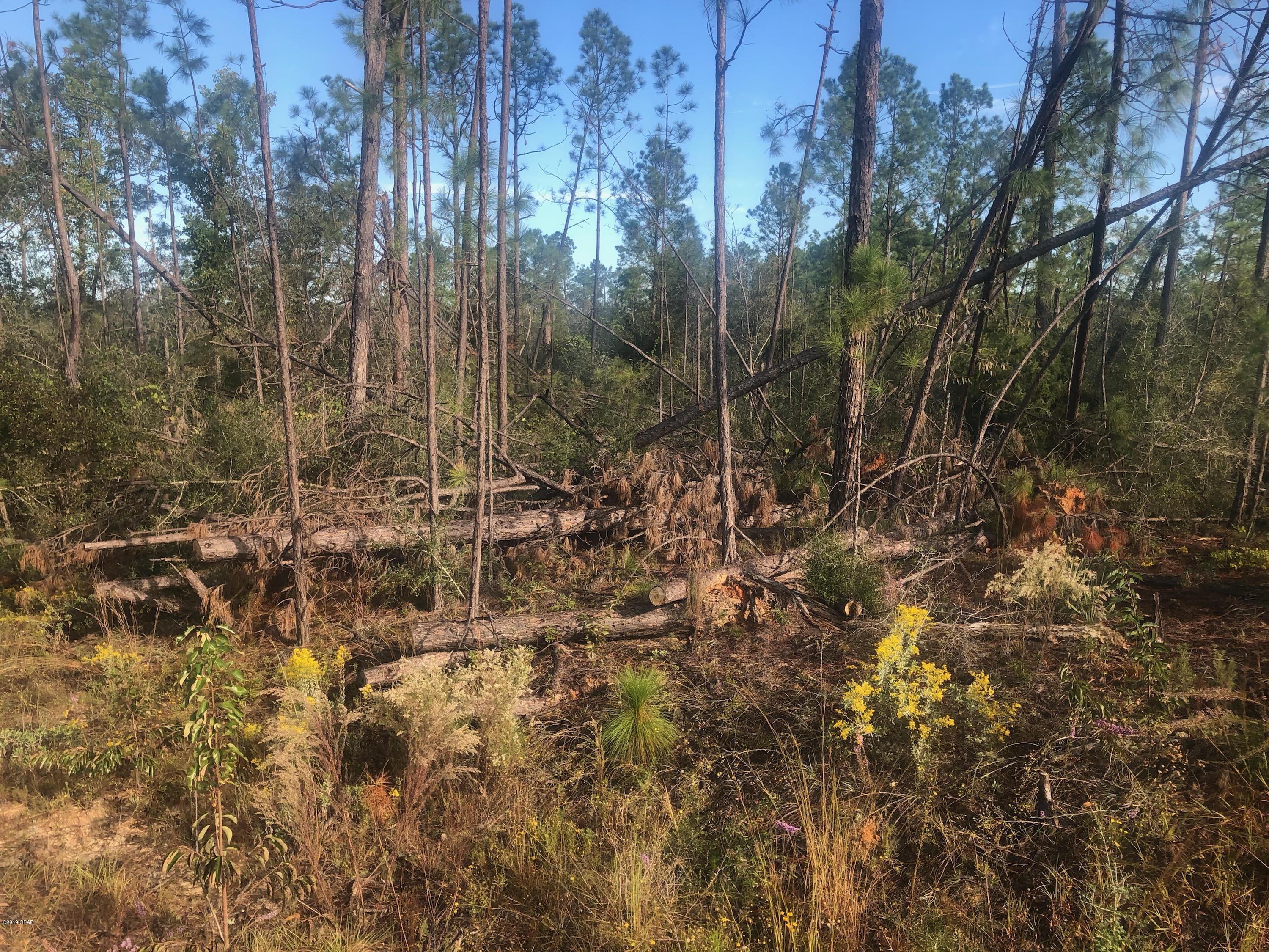 Compass Lake Hills Unit 1 - Land