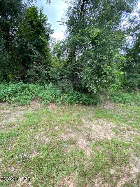 Silver Lake Estates - Land