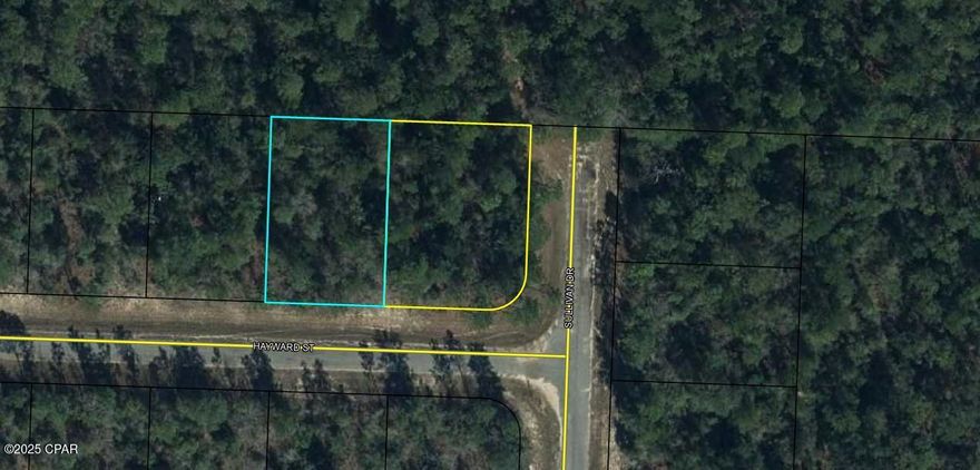 Explore the potential of this vacant land located in the heart of Sunny Hills, Chipley, FL. Nestled in a growing community, this property offers a versatile opportunity to bring your vision to life. Whether you're considering a future homesite, an investment, or something entirely unique, this parcel provides a blank canvas to make it happen. Enjoy the quiet surroundings and convenient access to nearby amenities, outdoor activities, and major roadways. Don't miss the chance to own a piece of Sunny Hills - your possibilities await!