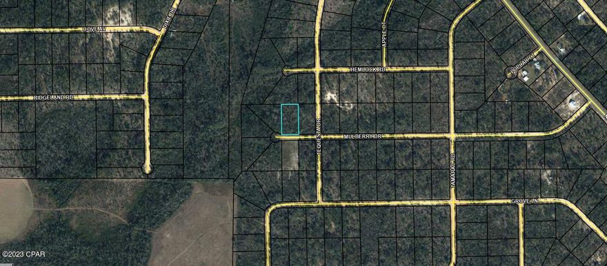 Lot 7 is a wooded. Adjoining Lot 8 that is being sold also. The property owners association (POA) is voluntary. Pay the annual $125 to have access to all amenities Compass Lake Hills has to offer for members. 



This is a deed restricted community. No mobile homes or RV's allowed. Just a short 45 minute drive to Panama City Beaches and roughly a 20 minutes drive to Marianna for shopping and restaurants.