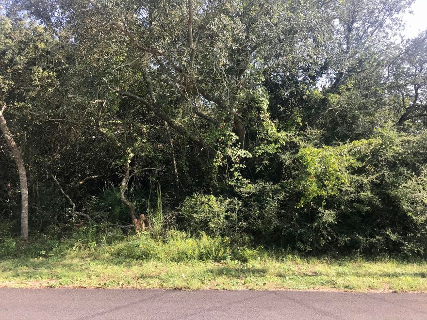 Prime lot on the prestigous West End of Panama City Beach. A mere 1 1/2 blocks to the fluffy white sands of the Gulf. Public Sewer is available in front of this property.