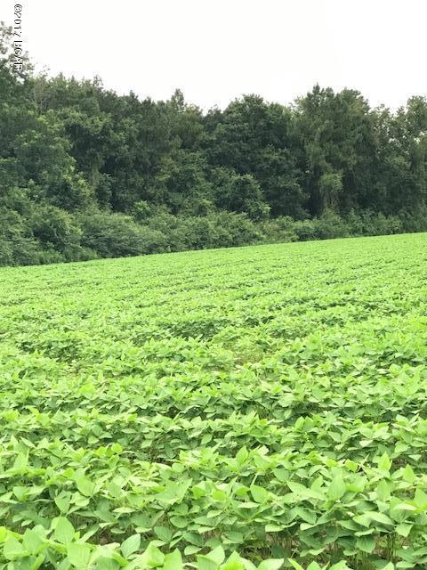 No Named Subdivision - Land