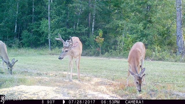 No Named Subdivision - Land