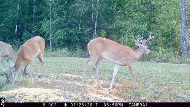 No Named Subdivision - Land