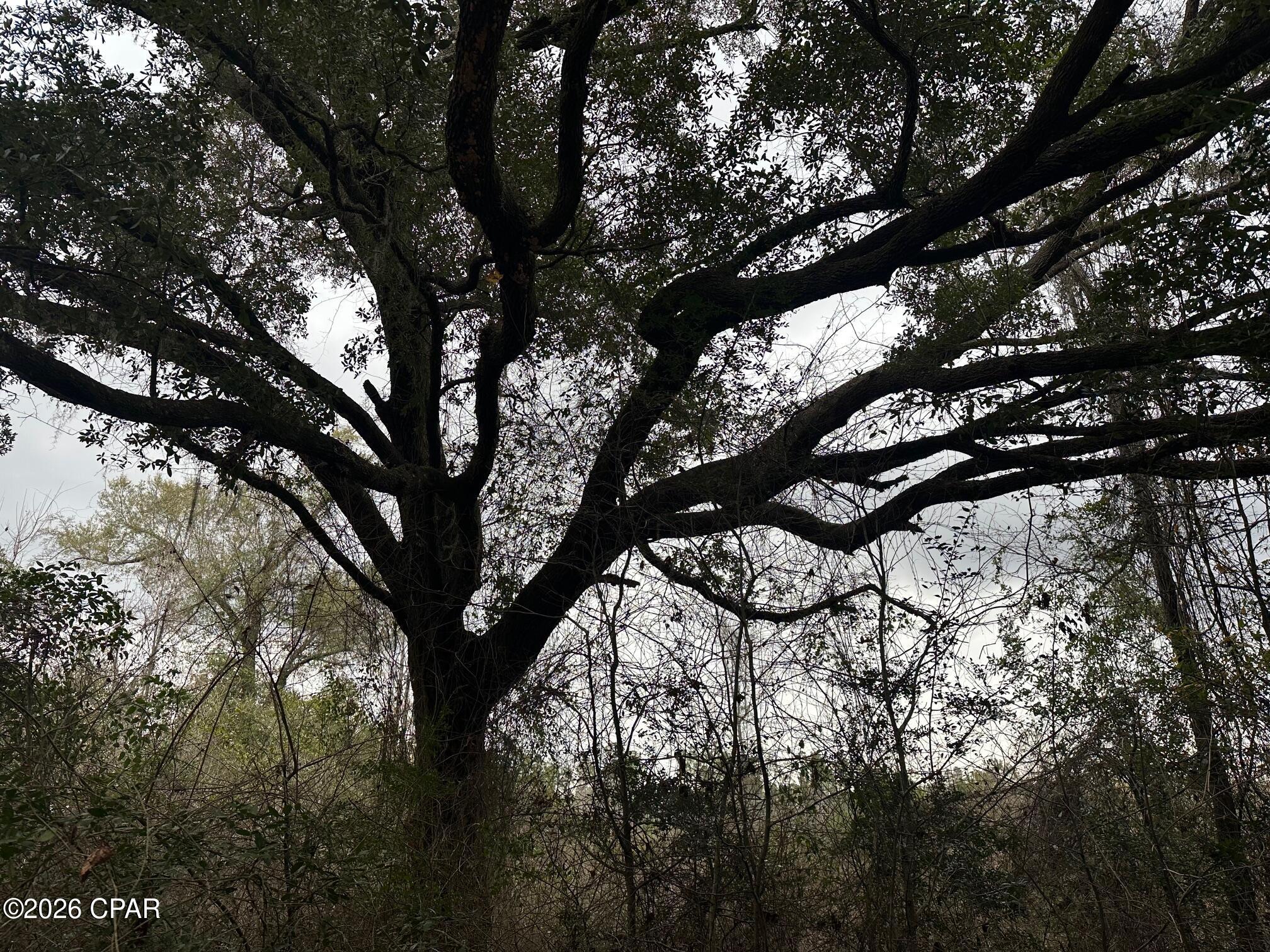 [No Recorded Subdiv] - Land