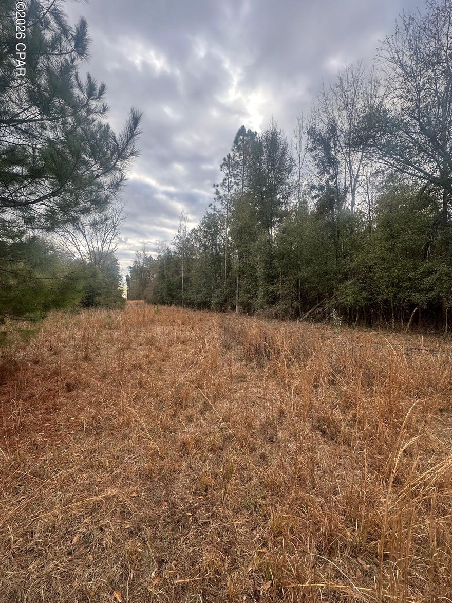 This is one unique Country property.   Located in Sneads FL, just 1 mile off the I-10 interstate exit sits this 27-acre parcel of land.     It in, you will find 2 wells, and 3 septic tanks that used to service the homes inside.  Power also runs inside the property.  This is a great value sale if you are willing to do a little TLC with the hurricane damaged older homes.     There will be some cleaning up and removing.  The old barn could potentially be refurbished.    Mostly high and dry land.  Great hunting and wildlife abound, call today to take a look for yourself!!