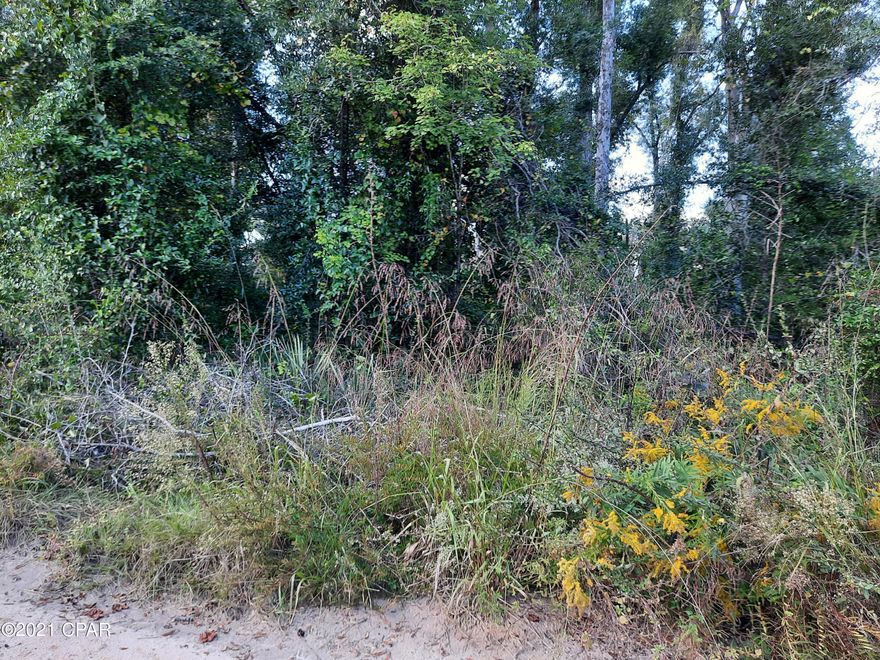TWO ACRES Wooded Lot to build your dream home or put a mobile home on.  Close to Greenwood, Fl.