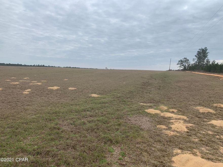 Beautiful property has around 90 acres of Tiff Quick hay, Ecofina Creek runs through the east side of the property. Electricity and well on property. Excellent hunting!