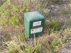 Grove At Inlet Beach - Land