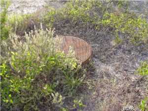 Grove At Inlet Beach - Land